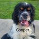 Cooper CCR