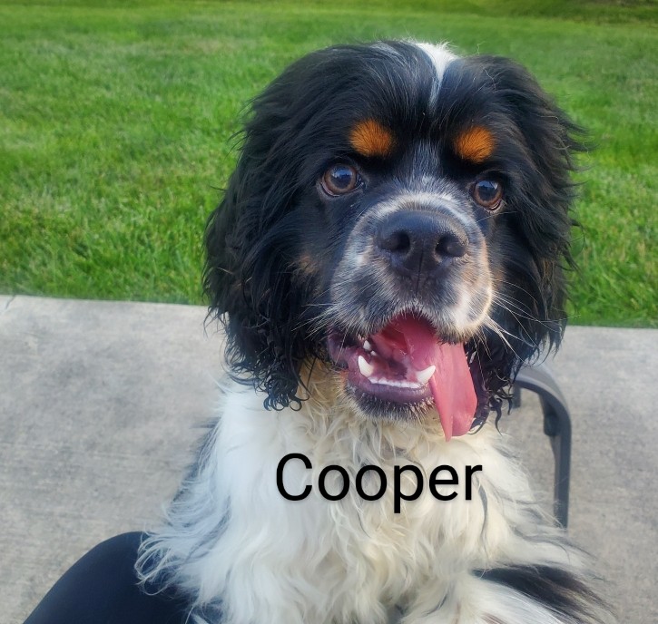 Cooper CCR