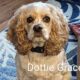 Dottie Grace CCR