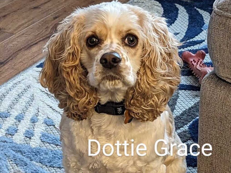 Dottie Grace CCR