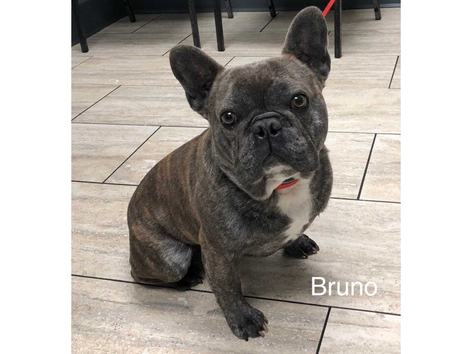 Bruno CCR