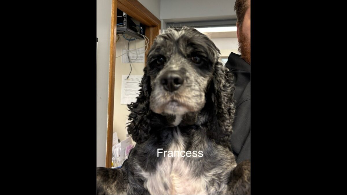 Francess CCR