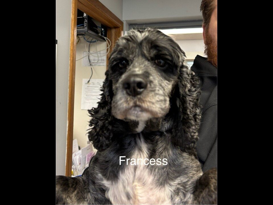 Francess CCR