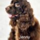 Jenny CCR