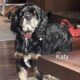 Katy CCR
