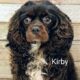 Kirby CCR