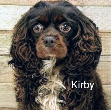 Kirby CCR