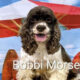 Bobbi Morse