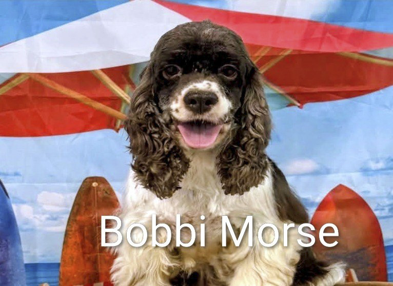 Bobbi Morse